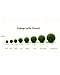 OMEM Aegagropila linnaei Moss Balls Glass Aquarium Kit (White)