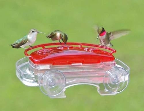 Aspects 407 Jewel Box Window Hummingbird Feeder, 8-Ounce, Mounts to Windows
