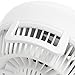 IRIS USA WOOZOO Air Circulator, Compact Personal Office or Home Desktop Fan, 11.5 inch fan, White