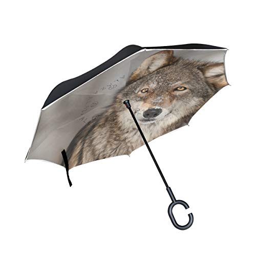 10 best wildlife umbrella for 2019