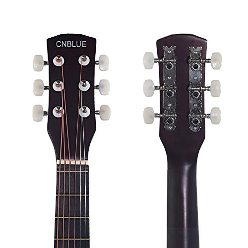 5 Acoustic+Guitar+Strater+Package+Color