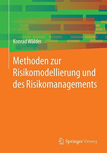 Methoden zur Risikomodellierung und des Risikomanagements (German Edition)