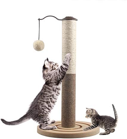 cats pole
