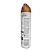Glade Air Freshener Spray Cashmere Woods 8 Oz (Pack of 3)