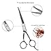 Wellbro Stainless Steel Dog Grooming Scissor Kit, Set of 2 Professional Pet Trimming Shears with Round Tips, Includes 1 Serrated Blade Scissor and 1 Regular Scissor, Suitable for Dogs, Cats and Pets