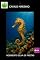 Livro Cavalo Marinho
