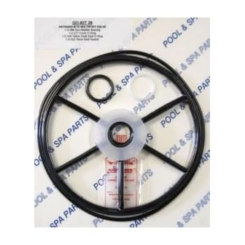 Amazon.com : Aladdin Equipment GOKIT39 Hayward SP715