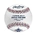 2010 All-Star Game Logo Baseball