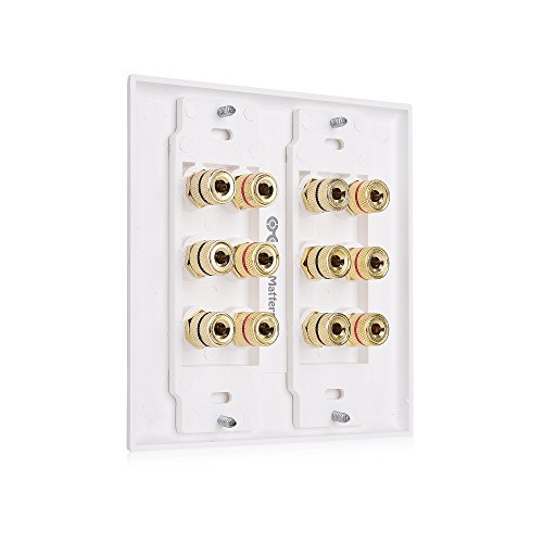 Cable Matters Double Gang Speaker Wall Plate (Banana Plug Wall Plate