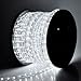 Christmas Xmas New Year Lighting LED Rope Light 150ft White II w/ Connector