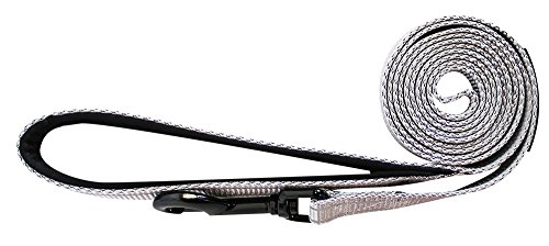 alcott Adventure Dog Leash with Reflective Stitching & Neoprene Padded Handle, Medium, Grey