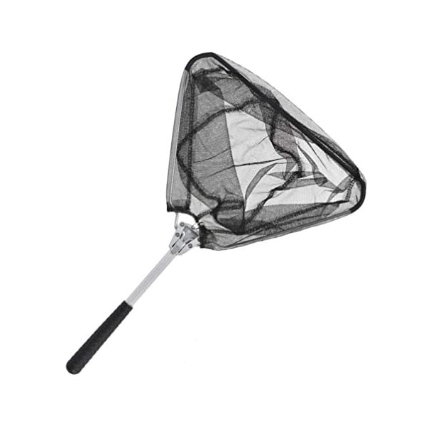 BESPORTBLE Angelkescher Fishing Kescher Klappbar Aluminiumlegierung Bodenkescher Poolkescher Garnelenkescher Dreieck Brail Kescher 50cm