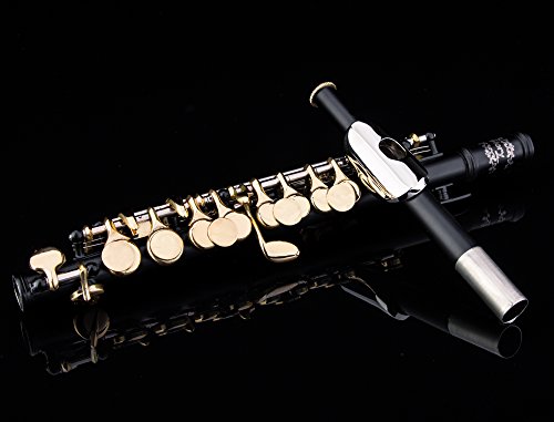 Glory Key of C Piccolo with Pro Case, Joint Grease, Cleaning Cloth and Rod, and Gloves, Black/Gold keys ~ More COLORS Available ! CLICK on LISTING to SEE All Colors - Thumbnail 6