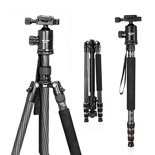 Top 10 Camera Tripods For Wildlife Photography of 2020 No Place