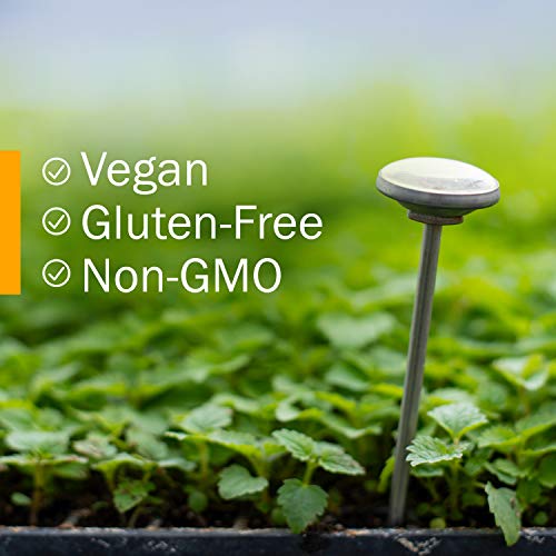 Herb Pharm Kava Root Liquid Extract to Reduce Stress and Promote