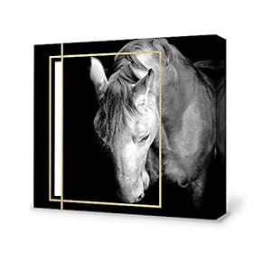 Canvas Wall Art-Black and White Horse-Canvas Prints Home Artwork Decoration for Living Room,Bedroom - 12x12 inches