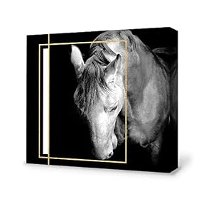 Black and White Horse Home Artwork for Living Room Bedroom