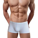 Binmer(TM)Men Underwear Sexy Boxer Briefs Breathable Fashion Underpants (XL, LightBlue)