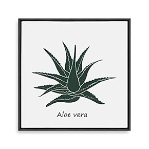 Framed Canvas Wall Art for Living Room, Bedroom Nordic Style Plants Theme Canvas Prints for Home Decoration Ready to Hang - 16x16 inches