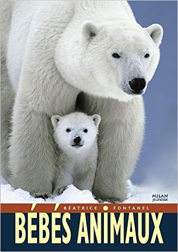 Bebes Animaux Les Mil Docum Div Fontanel Beatrice Amazon Com Books