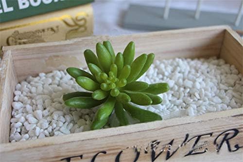 Amazon Co Jp 4種類の人工肉 エチェベリア 植物 草 砂漠 多肉植物 クリスマス 装飾フラワー 家庭用 家電 カメラ