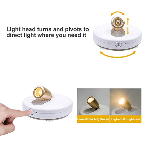 RAIFOOLLY - Luz De Imagen, 16 Pulgadas, Funciona Con Pilas Para Pinturas, Control Remoto De