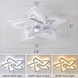 Dalouguan Flush Mount Ceiling Fan with