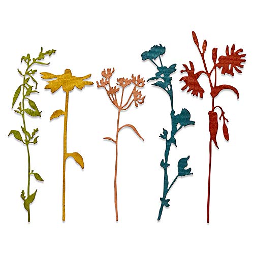Sizzix Thinlits Die 665221 Wildflower Stems #3 by Tim Holtz 5 Pack