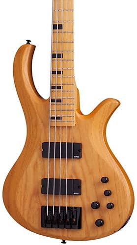 Riot-5 Session 5 String Electric Bass Guitar