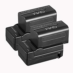 GVM 2 Pack NP-F750/770 4400mAh Batteries with