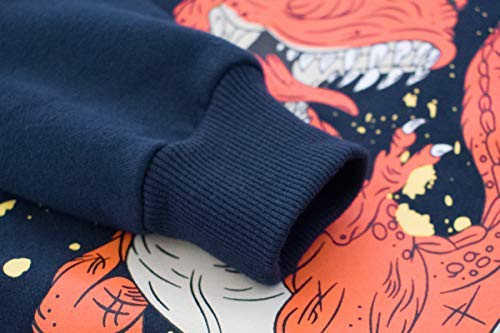 DDSOL Little Boys Cotton Cute Crew Neck Long Sleeve Sweatshirt (2T-11T)