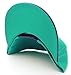 L.O.G.A. Plain Adjustable Snapback Hats Caps (Many Colors). Turquoise/Purple