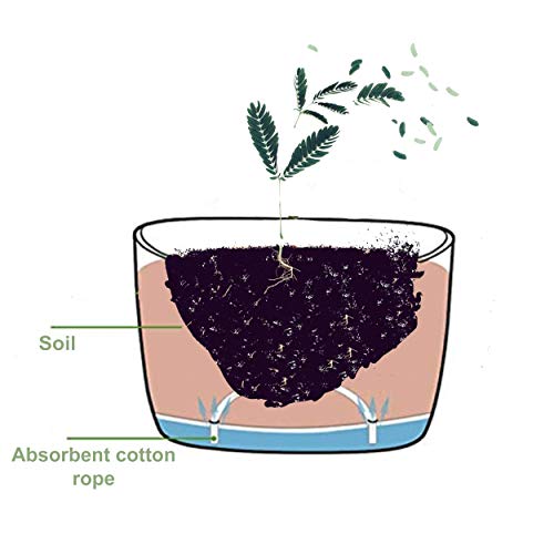 Wall Mounted Planter Pots for Herbs, Flowers | Succulent Planter Pots | no Drills, no Screws, no Hanging | Succulent Wall Planter | Self Watering, Low Maintenance (White) - Thumbnail 5