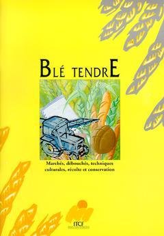 Blé tendre