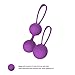 Kegel Exercise Weights Bladder Control & Pelvic Floor Exercises 2 Pcs Premium Silicone Cones with Training Kit for Women Purple