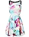 FANCYINN Women Sexy Halter Neck Floral Print Backless Beach Skater Mini Dress M