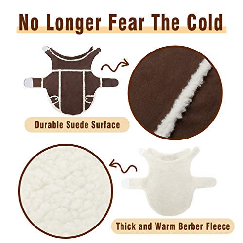 BINGPET Dog Winter Coat Cold Weather Dog Clothes, Windproof Fall