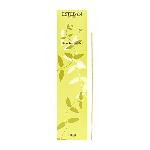 Esteban Sous Les Feulles Bamboo Stick Incense 20 Incense Sticks