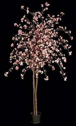AUF001 6.5 Foot Cherry Blossom Tree - Signature Foliage Pink, Rose, Light Pink