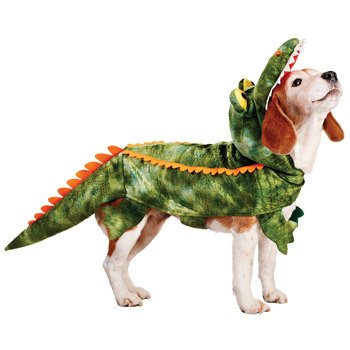 Petco Halloween Gator Dog Costume, Small