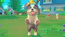 My Universe: Pets Edition