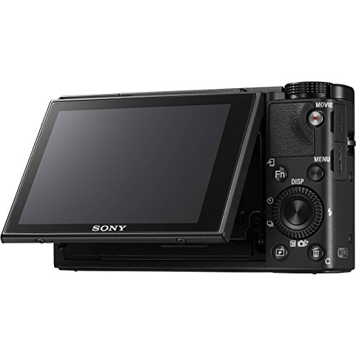 Sony Cyber-Shot DSC-RX100 V Digital Camera + Sony NP-BX1/M8 Battery Spare NP-BX1 Battery, 64gb SDXC 1200x Card, Reader, Case, AC Adapter Bundle Kit - International Version