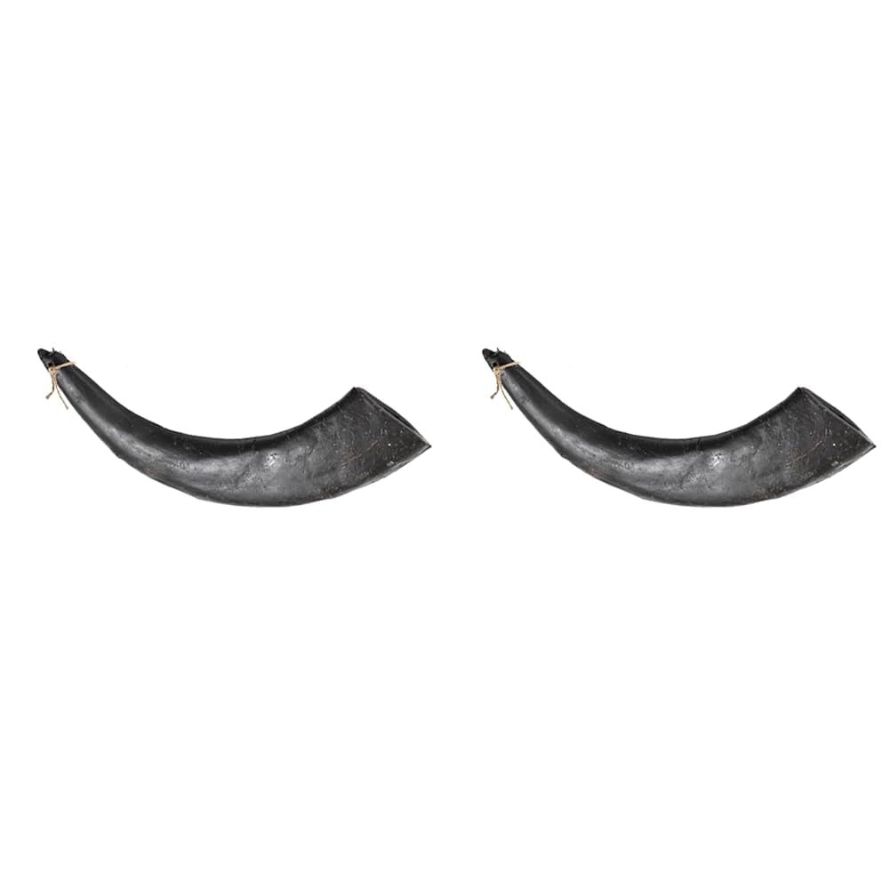 Hollings Buffalo Horn Jumbo Dog Treat, 100% Natural Grain Free Chew Treat for Adult Dogs, High in Protein and Naturally Low in Fat (2 Pack)