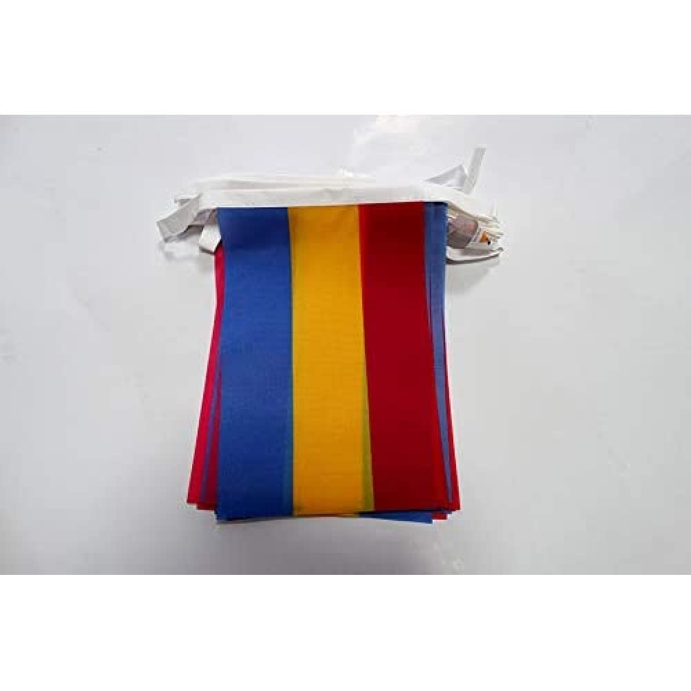 AZ FLAG Pansexual Bunting Flag, 20 Ft Garland with 20 Small pansexuality Flags 8'' x 6'', 100% Polyester String Pennant, 6 meters