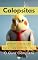 Livro Calopsitas para Leigos (Ou Quase Isso!): Como Cuidar De Calopsita (Guilherme Santos)