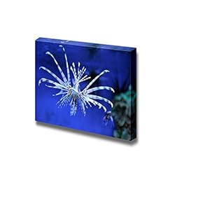 Canvas Prints Wall Art - Lion Fish in Ocean | Modern Wall Decor/Home Decoration Stretched Gallery Canvas Wrap Giclee Print. Ready to Hang - 12" x 18"
