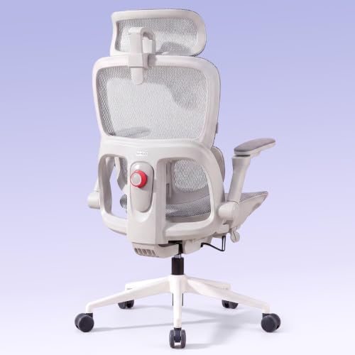 SIHOO B300 Pro Bürostuhl Ergonomisch, Stuhl mit Adaptive Lendenwirbelstütze