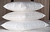 Multiple Sizes- 95% Feather 5% Down Pillow Inserts - Premium Quality-18x18
