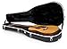 Gator Cases Deluxe ABS Molded Case for 12-String Acoustic Guitars; Fits Dreadnaught Styled 12-String Acoustic Guitars (GC-DREAD-12)