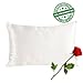 SilkSlip 100% Pure Mulberry Silk Pillowcase with Cotton Underside and Hidden Zipper for Hair and Skin, 19 Momme 400 Thread Count Hypoallergenic, Queen(20x30 Inch), White